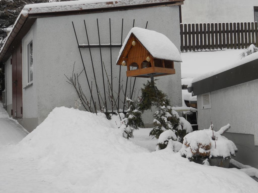 Ferienhaus Zittau Oberlausitz & Ferienwohnung Am Hamann Berg Luaran gambar