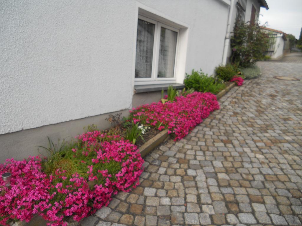 Ferienhaus Zittau Oberlausitz & Ferienwohnung Am Hamann Berg Luaran gambar